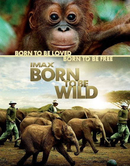KH199 - Document - IMAX Born To Be Wild 2011 (4.4G)